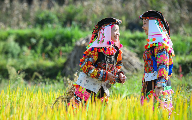 TOUR AVENTURERO POR VIETNAM AL NORTE DE 7 DÍAS